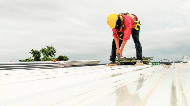 Best Roof Maintenance and Cleaning  in Kodi, AK