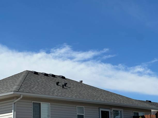 Best Roof Leak Repair  in Kodi, AK